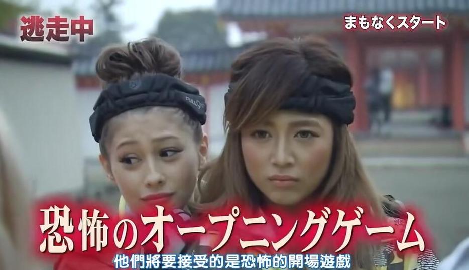 从DIY到日本恶搞节目 妻子变明星的奇妙之旅