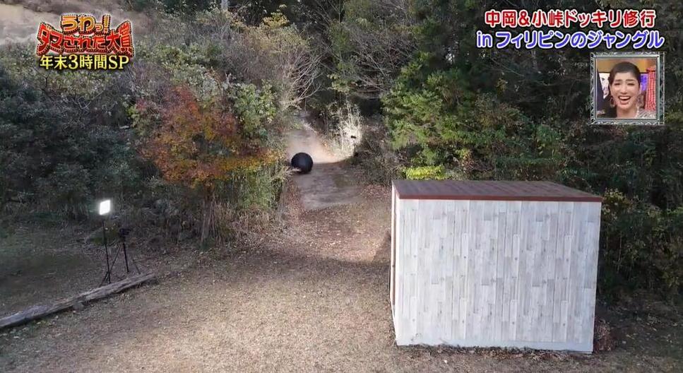 万众期待：日本综艺节目网站中哪些好看的节目最受欢迎？