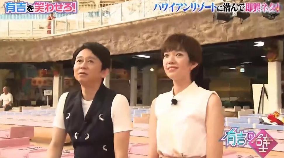 靠近有吉弘行感受最真实的搞笑：免费观看《有吉之壁》