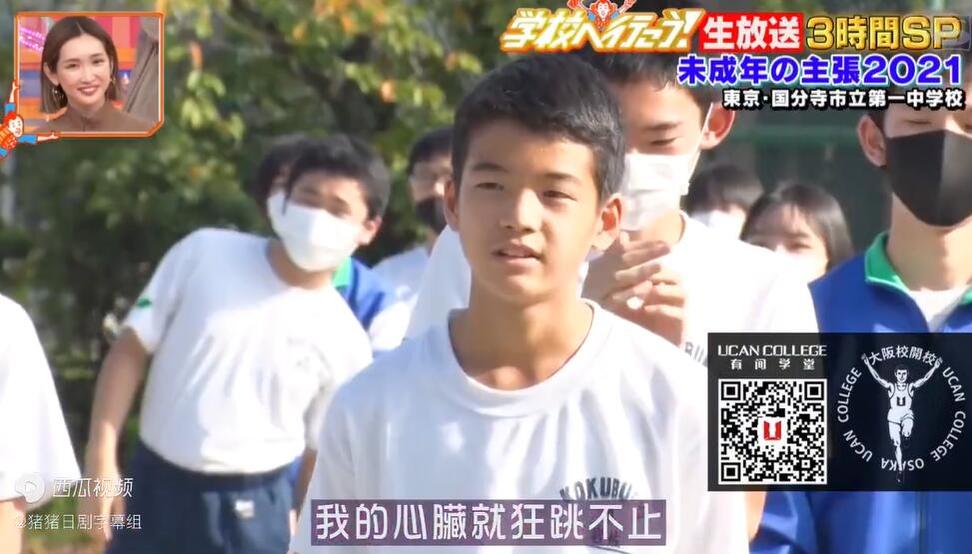 推荐几档精彩的日本综艺真人秀节目，放松身心